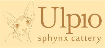 Ulpiosphynx